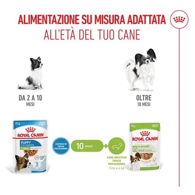 Royal Canin X-Small Puppy in salsa