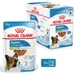 Royal Canin X-Small Puppy v omáčce