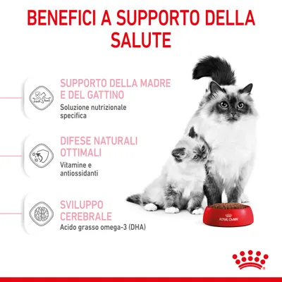 Benefici a supporto della salute: supporto della madre e del gattino, difese naturali ottimali, sviluppo cerebrale. Royal Canin. Due gatti vicino a una ciotola di cibo.