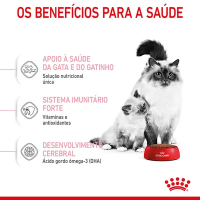 Os benefícios para a saúde: apoio à saúde da gata e do gatinho, sistema imunitário forte, desenvolvimento cerebral. Royal Canin visível na taça de comida.