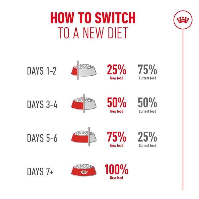 Royal Canin Ageing 11+
