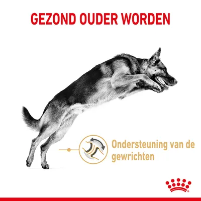 Gezond ouder worden. Ondersteuning van de gewrichten. Afbeelding van een springende hond en Royal Canin kroon symbool.
