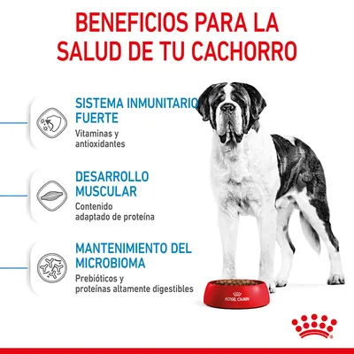Beneficios para la salud de tu cachorro: sistema inmunitario fuerte (vitaminas y antioxidantes), desarrollo muscular (proteína adaptada), mantenimiento del microbioma (prebióticos, proteínas digestibles).