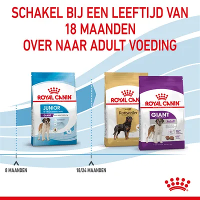 Royal Canin Junior Giant hondenvoer 8–18/24 maanden, Royal Canin Adult Rottweiler en Giant Adult. Advies: schakel bij 18 maanden over naar adult voeding. Overgangsmomenten: 8 en 18/24 maanden.