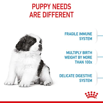 Puppy needs are different: fragile immune system, multiply birth weight by more than 100 times, delicate digestive system.
