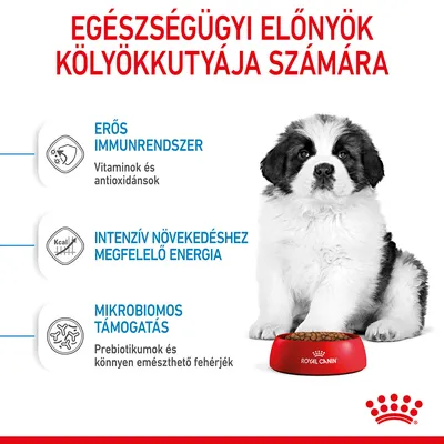 Egészségügyi előnyök kölyökkutyája számára: erős immunrendszer, intenzív növekedéshez megfelelő energia, mikrobiomos támogatás. Royal Canin tál kölyökkutyával.