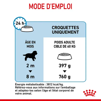 Conseils d’alimentation pour chien : croquettes uniquement, âge 2 à 8 mois, poids adulte cible 60 kg, ration de 397 g à 760 g par jour. Énergie métabolisable : 3812 kcal/kg.