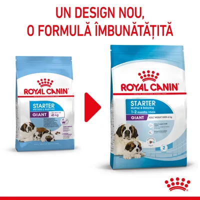 Royal Canin Starter Mother & Babydog Giant, design nou și formulă îmbunătățită. Ambalaj vechi și nou cu câini vizibili, text: 1–2 months/mois, adult weight over 45 kg.