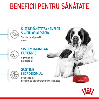 Beneficii pentru sănătate: susține sănătatea mamelor și a puilor acestora, sistem imunitar puternic, susține microbiomul. Royal Canin. Text în limba română.