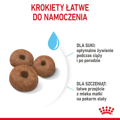 KROKIETY ŁATWE DO NAMOCZENIA. Dla suki: optymalne żywienie podczas ciąży i po porodzie. Dla szczeniąt: łatwe przejście z mleka matki na pokarm stały. KROKIETY ŁATWE DO NAMOCZENIA. Dla suki: optymalne żywienie podczas ciąży i po porodzie. Dla szczeniąt: łatwe przejście z mleka matki na pokarm stały.
