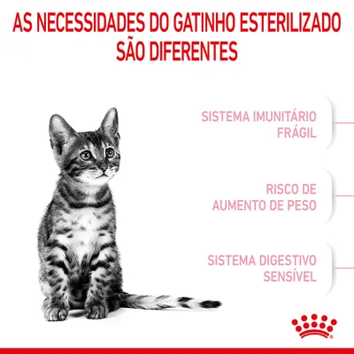 As necessidades do gatinho esterilizado são diferentes: sistema imunitário frágil, risco de aumento de peso, sistema digestivo sensível. Marca Royal Canin visível.