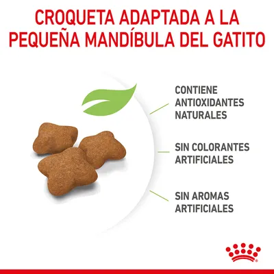 Croqueta adaptada a la pequeña mandíbula del gatito. Contiene antioxidantes naturales, sin colorantes artificiales, sin aromas artificiales. Tres croquetas visibles en primer plano.