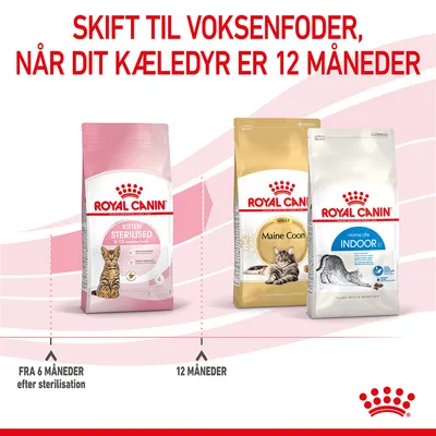 Royal Canin kattefoder: Kitten Sterilised 6–12 months, Maine Coon Adult, Home Life Indoor 27. Tekst: Skift til voksenfoder, når dit kæledyr er 12 måneder. Fra 6 måneder efter sterilisering.