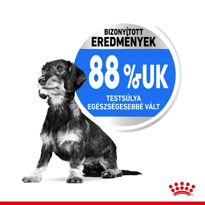 BIZONYÍTOTT EREDMÉNYEK: 88%-uk testsúlya egészségesebbé vált. Fekete-fehér kutya, Royal Canin logó a sarokban.