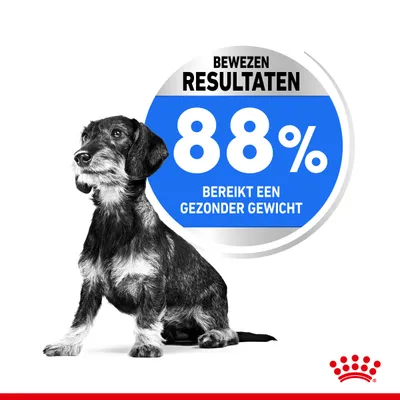 Bewezen resultaten: 88% bereikt een gezonder gewicht