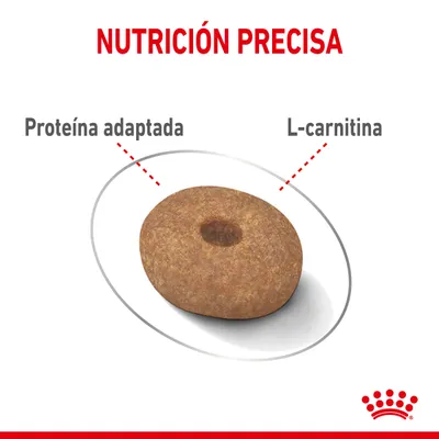 Croqueta con texto: Nutrición precisa, proteína adaptada, L-carnitina. Marca Royal Canin visible en la parte inferior.