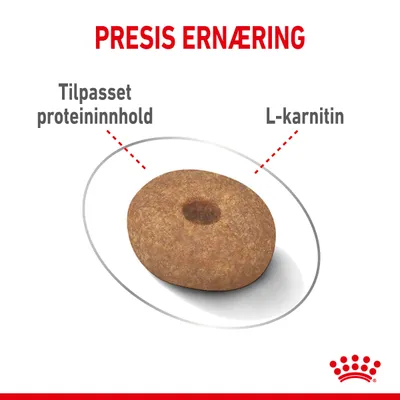 Royal Canin Mini Light Weight Care