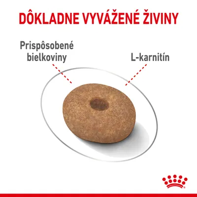 Dôkladne vyvážené živiny. Prispôsobené bielkoviny, L-karnitín. Detail granuly s vyznačenými zložkami. Royal Canin.