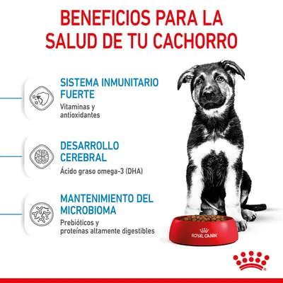 Beneficios para la salud de tu cachorro: sistema inmunitario fuerte (vitaminas y antioxidantes), desarrollo cerebral (ácido graso omega-3 DHA), mantenimiento del microbioma (prebióticos y proteínas digestibles).