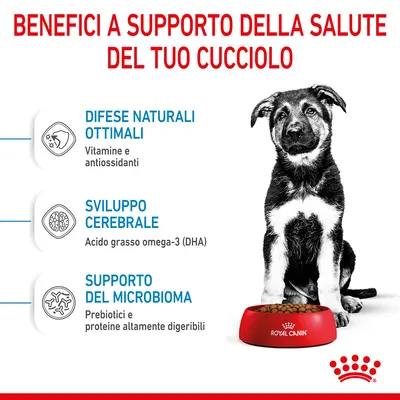 Benefici per la salute del cucciolo: difese naturali ottimali con vitamine e antiossidanti, sviluppo cerebrale con omega-3 (DHA), supporto del microbioma con prebiotici e proteine digeribili.