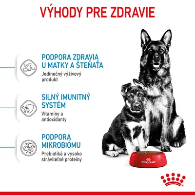 Výhody pre zdravie: podpora zdravia u matky a šteňaťa, silný imunitný systém, podpora mikrobiómu. Royal Canin miska pred psom a šteniatom.