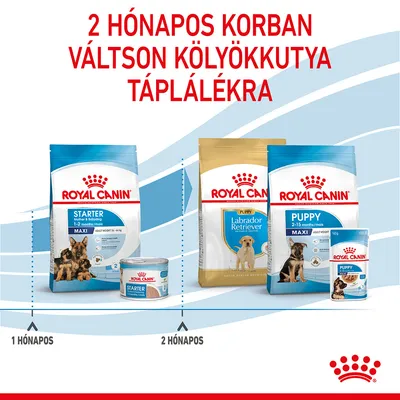 2 hónapos korban váltson kölyökkutya táplálékra. Royal Canin Starter 1–2 hónapos, Puppy Labrador Retriever és Maxi 2–15 hónapos kutyatáp csomagolások láthatók.