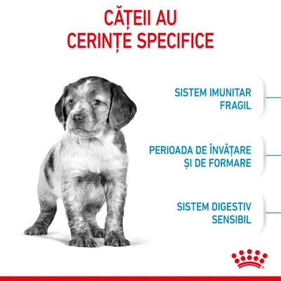 Cățeii au cerințe specifice: sistem imunitar fragil, perioadă de învățare și de formare, sistem digestiv sensibil. Logo Royal Canin jos dreapta.