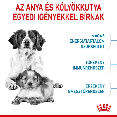 Az anya és kölyökkutya egyedi igényekkel bírnak. Magas energiatartalom szükséglet, törékeny immunrendszer, érzékeny emésztőrendszer. Royal Canin márka.