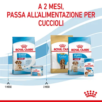 A 2 mesi, passa all'alimentazione per cuccioli. Royal Canin Starter 1-2 mesi, Puppy Cocker e Puppy Medium 2-12 mesi. Indicazioni: 1 mese Starter, 2 mesi Puppy.