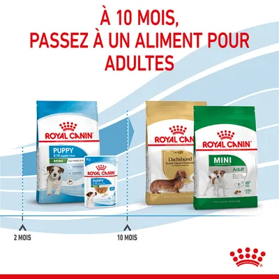 À 10 mois, passez à un aliment pour adultes. Sacs Royal Canin Puppy Mini 2–10 mois et Adult Mini/Dachshund montrés avec repères 2 mois et 10 mois.
