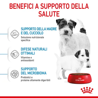 Benefici a supporto della salute: supporto della madre e del cucciolo, difese naturali ottimali, supporto del microbioma. Ciotola Royal Canin con crocchette e due cani.