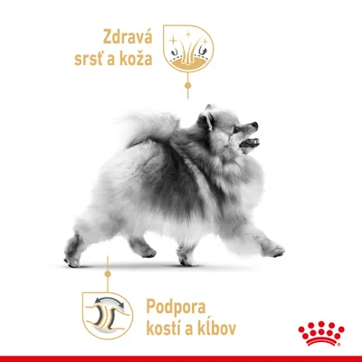 Text: Zdravá srsť a koža, Podpora kostí a kĺbov. Obrázok psa s ikonami zvýrazňujúcimi tieto vlastnosti. Vpravo dole červený symbol Royal Canin.