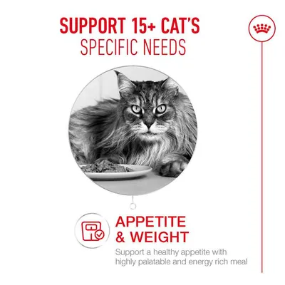 Royal Canin Ageing 15+ Mousse