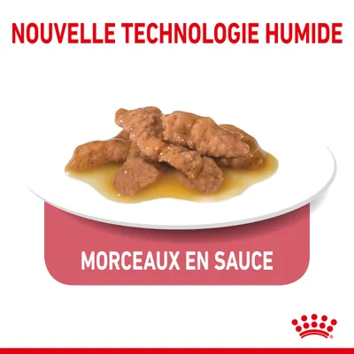 Nouvelle technologie humide, morceaux en sauce présentés sur une assiette. Texte visible : MORCEAUX EN SAUCE. Logo couronne rouge en bas à droite.
