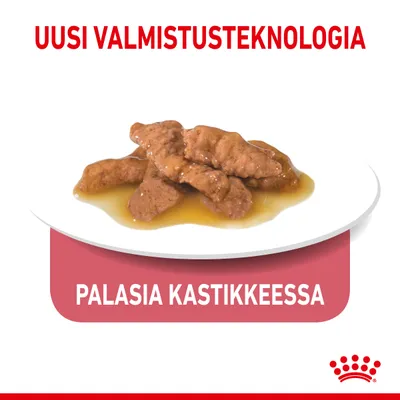 Uusi valmistusteknologia. Palasia kastikkeessa. Lautasella paloja ruskeassa kastikkeessa, Royal Canin -logo alareunassa.
