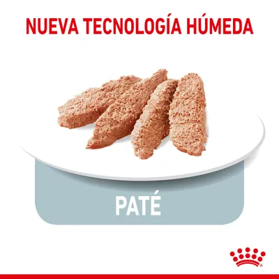 Paté en porciones sobre plato blanco, texto visible: NUEVA TECNOLOGÍA HÚMEDA y PATÉ. Logotipo de corona roja en la esquina inferior derecha.