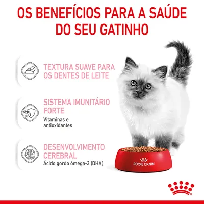 Os benefícios para a saúde do seu gatinho: textura suave para os dentes de leite, sistema imunitário forte com vitaminas e antioxidantes, desenvolvimento cerebral com DHA. Royal Canin.