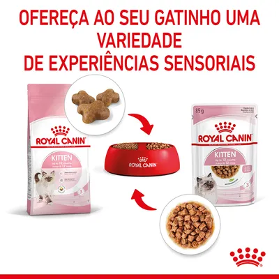 Royal Canin Kitten seco e húmido para gatinhos até 12 meses, embalagem de ração seca, saqueta de 85 g, taça vermelha com comida, texto: Ofereça ao seu gatinho uma variedade de experiências sensoriais.