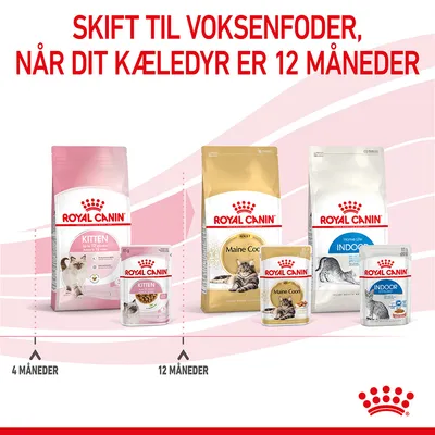 Skift til voksenfoder, når dit kæledyr er 12 måneder. Royal Canin Kitten og Adult kattefoder vist med poser og dåser. Markering ved 4 og 12 måneder.