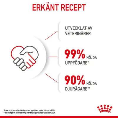 Royal Canin Kitten i gelé