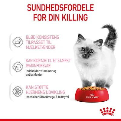 Sundhedsfordele for din killing: blød konsistens til mælketænder, kan bidrage til stærkt immunforsvar med vitaminer og antioxidanter, kan støtte hjernens udvikling med DHA (Omega-3-fedtsyre).