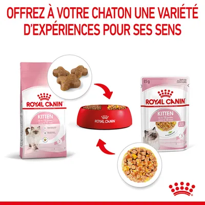 Royal Canin Kitten croquettes et sachet fraîcheur pour chaton jusqu’à 12 mois, bols avec aliments secs et humides, texte : Offrez à votre chaton une variété d’expériences pour ses sens.