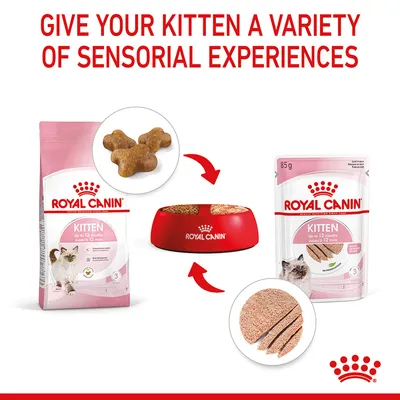 Image showing Royal Canin kitten dry and wet food with text 'Give your kitten a variety of sensorial experiences', highlighting different textures in a feeding bowl.