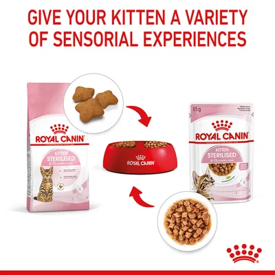 Dry and wet Royal Canin Kitten Sterilised food shown with feeding bowl, highlighting variety of sensorial experiences for kittens aged 6-12 months.