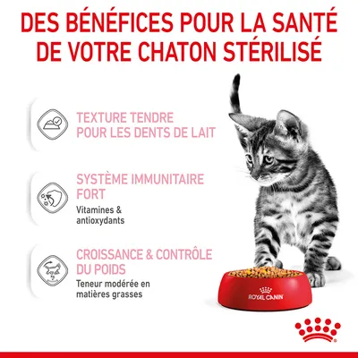 Des bénéfices pour la santé de votre chaton stérilisé : texture tendre, système immunitaire fort, croissance et contrôle du poids. Royal Canin visible sur la gamelle.