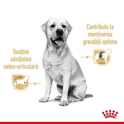Câine cu două pictograme: „Susține sănătatea osteo-articulară” și „Contribuie la menținerea greutății optime”. Sigla Royal Canin în partea de jos.