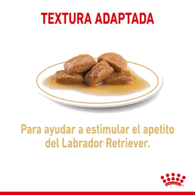 TEXTURA ADAPTADA. Para ayudar a estimular el apetito del Labrador Retriever. Imagen de comida húmeda en salsa sobre plato blanco. Marca Royal Canin visible.