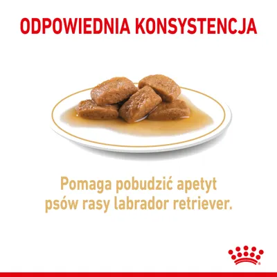 Odpowiednia konsystencja. Pomaga pobudzić apetyt psów rasy labrador retriever. Na talerzu kawałki mokrej karmy w sosie.
