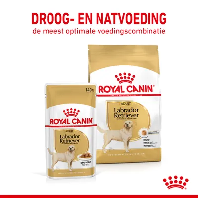 Royal Canin Adult Labrador Retriever droog- en natvoeding, 140g pouch en grote zak. Tekst: 'DROOG- EN NATVOEDING, de meest optimale voedingscombinatie'.