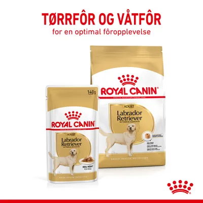 Royal Canin Labrador Retriever Adult i saus